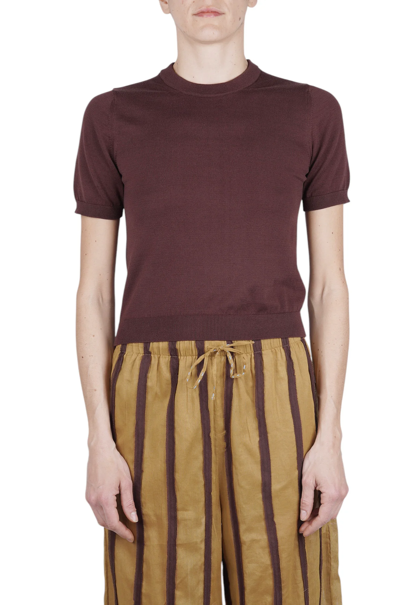 ALPHA STUDIO - Maglia - 471106 - Cioccolato - Image 3