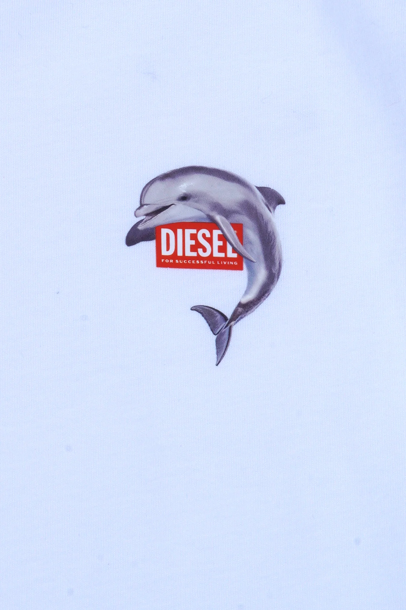 DIESEL - T-shirt - 470067 - Bianco - Image 6